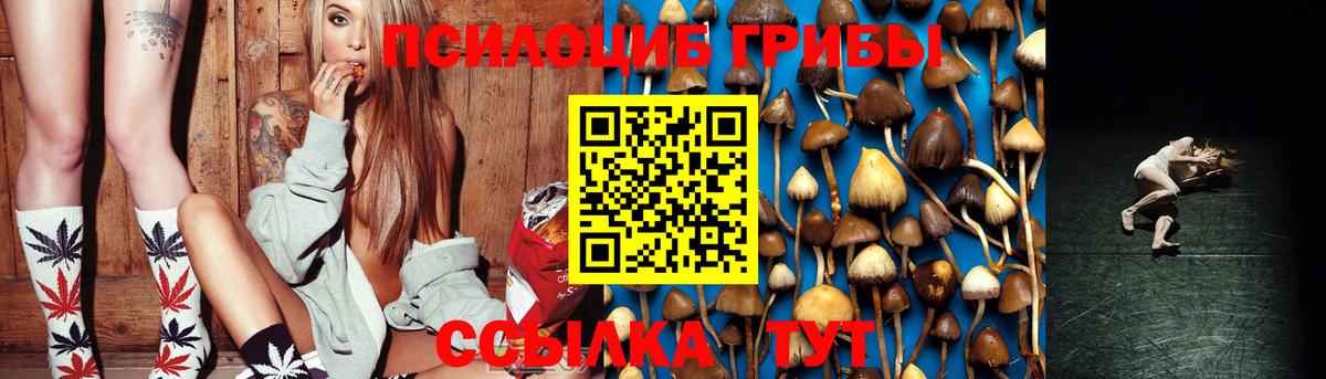 Псилоцибиновые грибы мухоморы Ставрополь