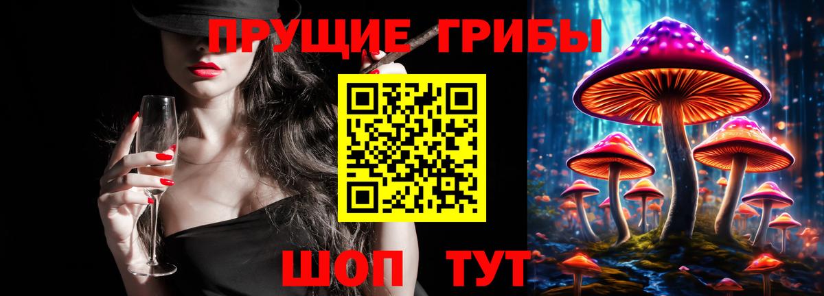 Ставрополь  Галлюциногенные грибы Psilocybe  Вход с VPN 